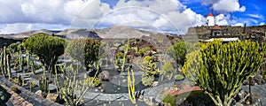 Lanzarote island - Botanical cactus garden, popular attraction in Canary islands photo