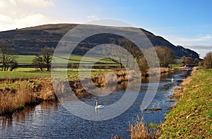 Lancaster Canal