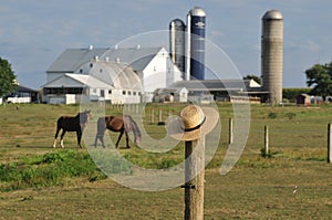 Lancaster county Amish farm