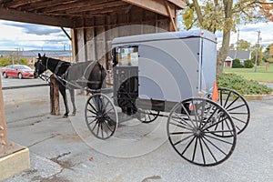 Lancaster County Amish Horse and Buggy