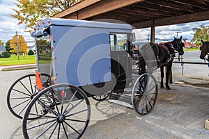 Lancaster County Amish Horse and Buggy