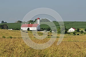 Lancaster county farm