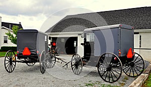 Lancaster County, PA: Amish Buggies