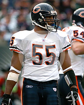 Lance Briggs, Chicago Bears