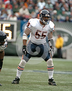 Lance Briggs