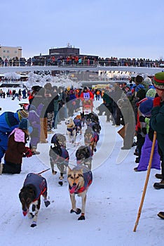 Lance Mackey Begins the Yukon Quest
