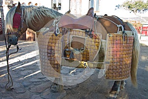 Lancer horse equipment photo