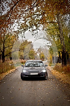 Lancer X on the Autumn Road photo
