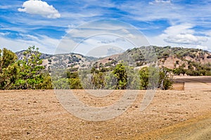 Land affected by drought in the Upper Hunter Valley, NSW, Australia