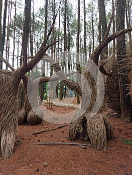 Land art made of thousands of pliable branches