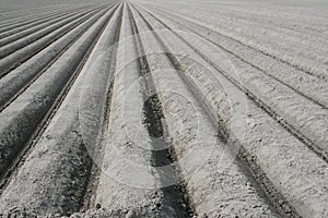 Land art and typical Dutch polder landscape with plowed fields, Noordoostpolder, Netherlands