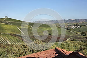 The land of barolo wine