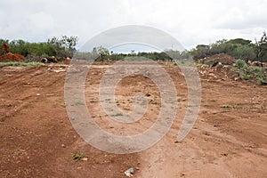 Land being cleared out for the construction of a new road photo