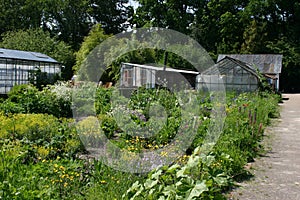 Land and Biological horticulture Boschzigt photo