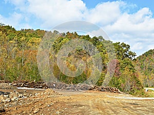 Land cleared by machinery with rough ground
