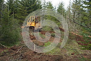 Land Clearing