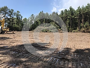 Land clearing and logging timber