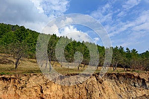 Land Degradation