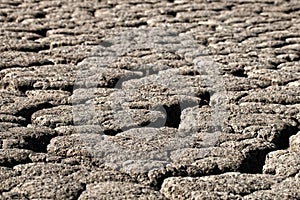 Land after a drought,