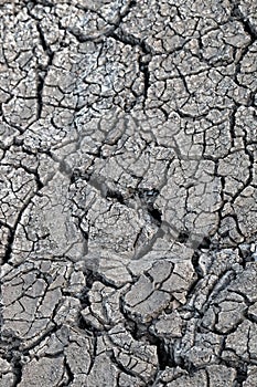 Land after a drought, chapped ground.