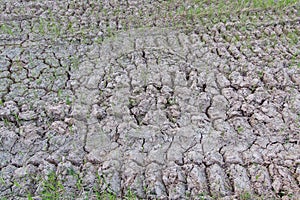 Land with dry cracked ground