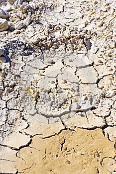 Land with dry and cracked ground