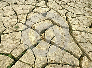 The Land with dry and cracked ground