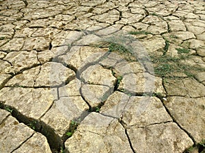 The Land with dry and cracked ground