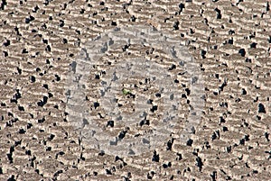 Land with dry and cracked ground. Desert,
