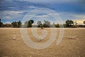 Land with dry and cracked ground. Desert