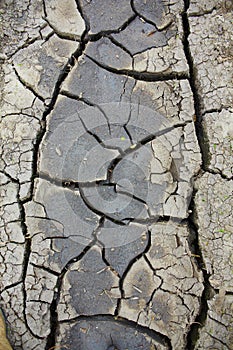 Land with dry and cracked ground. Desert