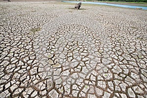 Land with dry and cracked ground because dryness global warming