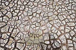 Land with dry and cracked ground because dryness global warming