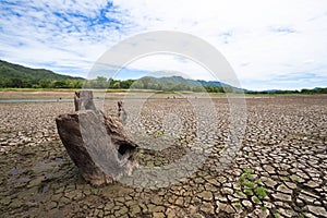 Land with dry and cracked ground because dryness global warming photo