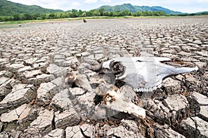 Land with dry and cracked ground because dryness global warming