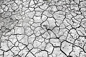 Land with dry and cracked ground.Global warming background