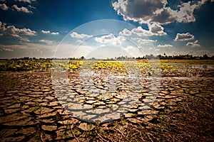 Land with dry and cracked ground. Global warming background