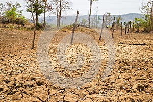 Land with dry and cracked ground in Tay Nguyen, Central Highlands of Vietnam