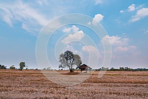 Land during the dry season The parched land and the hot sun. Impact on global warming