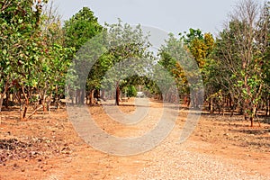 Land during the dry season The parched land and the hot sun. Impact of Global Warming