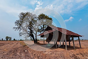 Land during the dry season The parched land and the hot sun. Impact of Global Warming in Southeast Asia