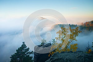 Land of fog. View through branches to dreamy deep misty valley within daybreak. Foggy and misty morning landscape