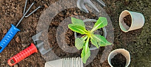 Land and gardening supplies. Garden. Selective focus