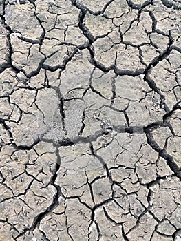 Land has cracked, dry, cracked soil in the background