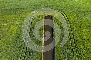 Land improvement or land amelioration concept, drone flying over narrow irrigation or drainage channels on rye or wheat field.