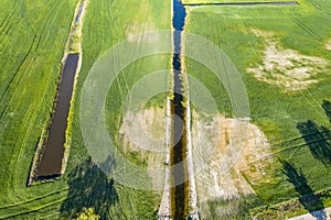 Land improvement or land amelioration concept, drone flying over narrow irrigation or drainage channels on rye or wheat field.