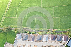Land, landscape of green field in aerial view.