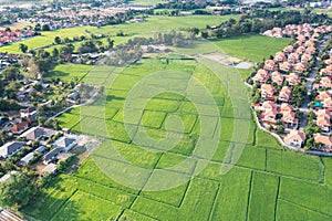 Land or landscape of green field in aerial view for sale or investment