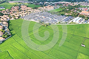 Land or landscape of green field in aerial view for sale or investment