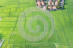 Land or landscape of green field in aerial view for sale or investment